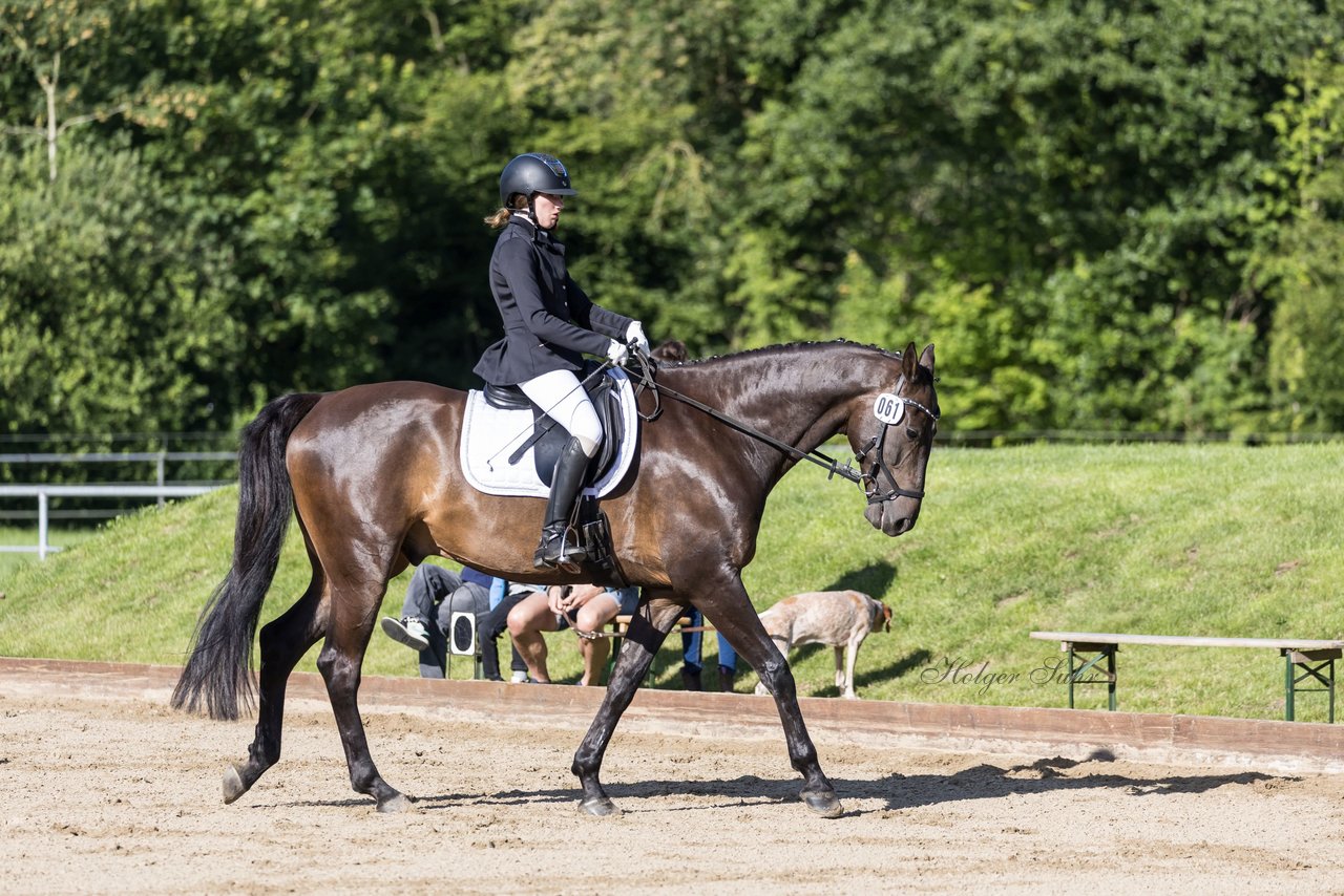 Bild 216 - Pony Akademie Turnier
